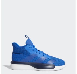 Мужские кроссовки Adidas Pro Next 2019 EH1966