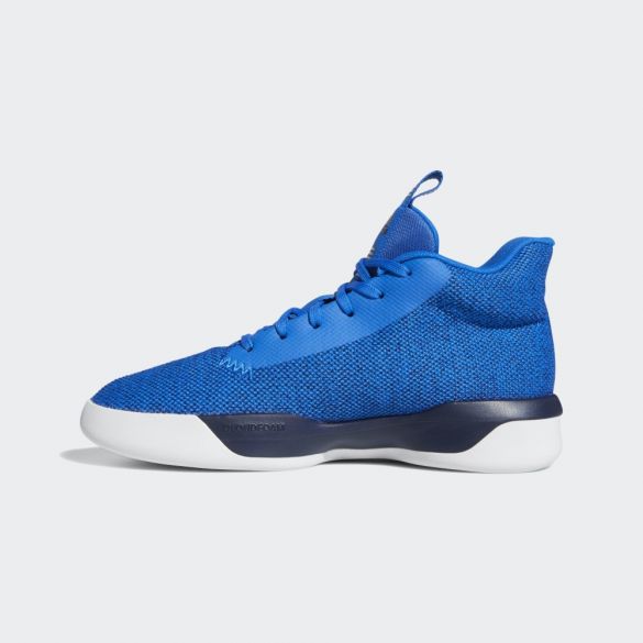 Мужские кроссовки Adidas Pro Next 2019 EH1966