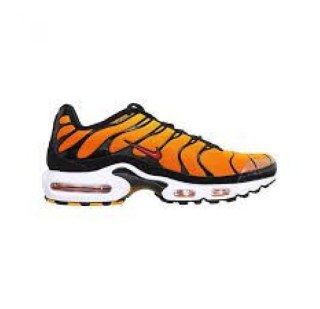 Чоловічі кросівки Nike Air Max Plus Sunset BV7426-006