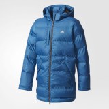 Детская куртка Adidas SDP Parka CE4930_image_1