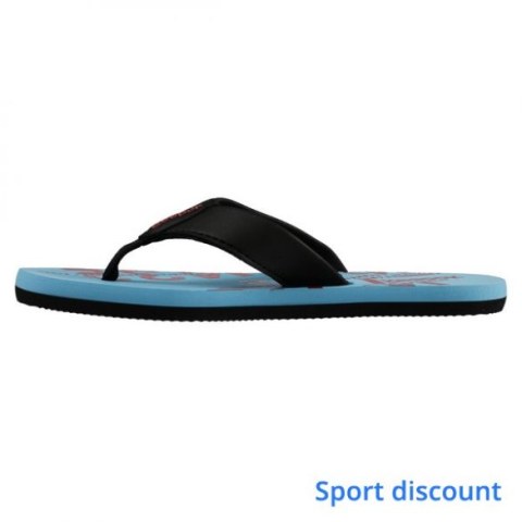 Мужские сланцы Reebok Splashtopia M46909_image_1