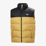 Мужской жилет Helly Hansen Active Puffy Vest 53989-389_image_3