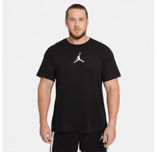 Мужская футболка Jordan Jumpman Dri-FIT CW5190-010