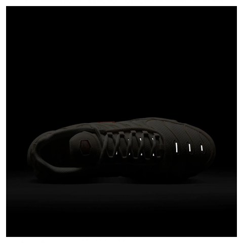 Кроссовки мужские Nike Air Max Plus DM0032-019_image_9