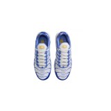Кроссовки Мужские Nike Air Max Plus IF6224-100_image_5