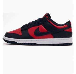 Чоловічі кросівки Nike Dunk Low Retro DV0833-601