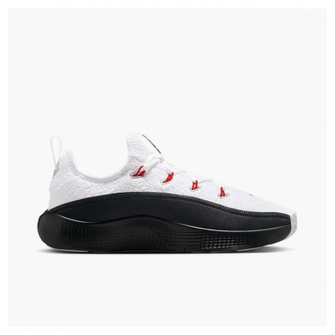 Кроссовки мужские Nike Lebron Tr 1 FJ6151-101_image_1
