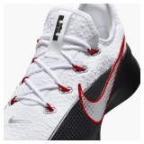 Кроссовки мужские Nike Lebron Tr 1 FJ6151-101_image_5