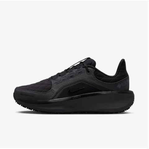Жіночі кросівки Nike W Air Winflo 11 Gtx FQ1359-001_image_3