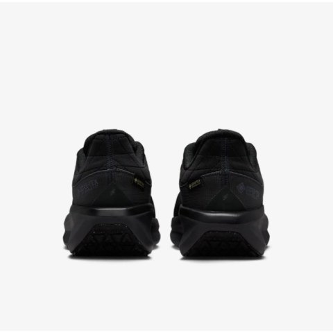 Жіночі кросівки Nike W Air Winflo 11 Gtx FQ1359-001_image_5