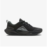 Жіночі кросівки Nike Wmns Juniper Trail 2 Gtx HM9725-001_image_1