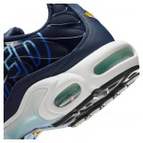 Кросівки чоловічі Nike Air Max Plus IH4459-473_image_6