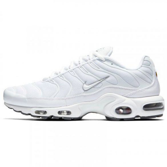 Кроссовки Nike Air Max Plus 604133-139