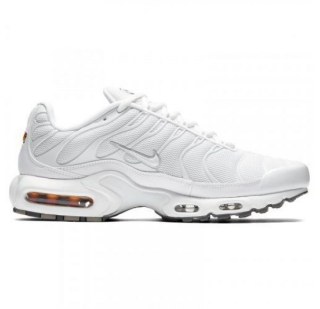 Кроссовки Nike Air Max Plus 604133-139