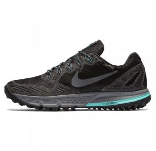 Жіночі кросівки Nike Air Zoom Wildhorse 3 GTX 805570-001
