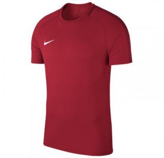 Футболка Nike M Nk Dry Acdmy18 Top Ss 893693-657