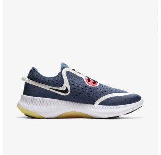 Жіночі кросівки Nike Joyride Dual Run CD4363-400