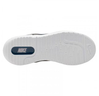 Жіночі кросівки Nike Amixa CD5403-002