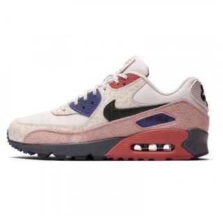 Чоловічі кросівки Nike Air Max 90 CI5646-001