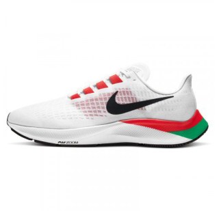 Мужские кроссовки Nike Air Zoom Pegasus 37 EK DD9478-100