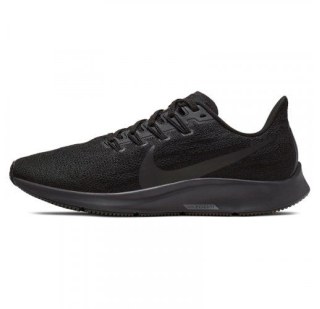 Жіночі кросівки Nike Air Zoom Pegasus 36 AQ2210-006