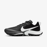 Жіночі кросівки Nike Air Zoom Terra Kiger 7 CW6066-002_image_1