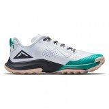 Жіночі кросівки Nike Air Zoom Terra Kiger 7 CW6066-003_image_1