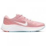 Жіночі кросівки Nike Air Zoom Structure 23 CZ6721-601_image_1