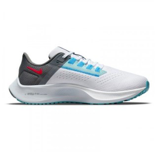 Жіночі кросівки Nike Air Zoom Pegasus 38 LE DJ3129-001