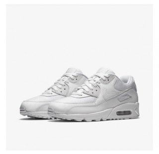 Кросівки Nike Air Max 90 Essential 537384-111