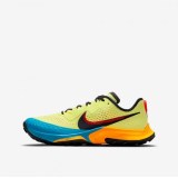 Мужские кроссовки Nike Air Zoom Terra Kiger CW6062-300_image_2