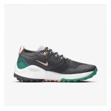 Жіночі кросівки Nike Wildhorse 7 CZ1864-001_image_1
