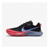 Жіночі кросівки Nike Air Zoom Terra Kiger 7 CW6066-004_image_2