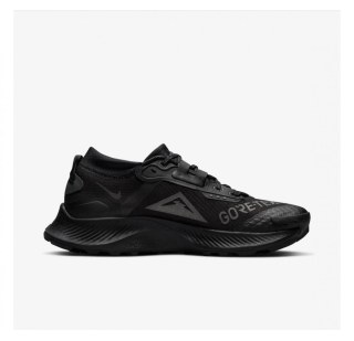 Кросівки для бігу Nike Pegasus Trail 3 Gore Tex Black DC8794-001