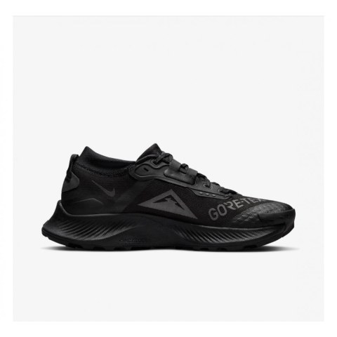 Кросівки для бігу Nike Pegasus Trail 3 Gore Tex Black DC8794-001_image_1