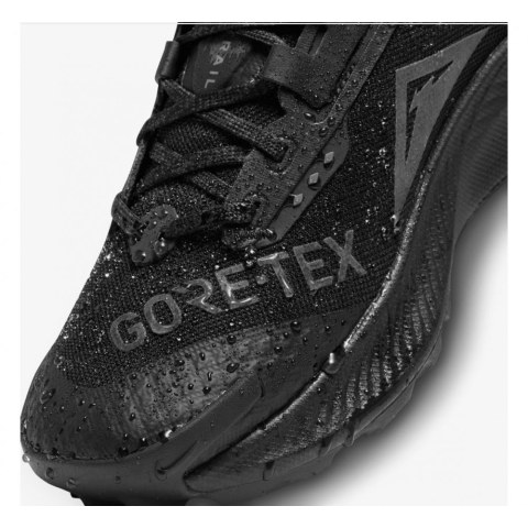 Кросівки для бігу Nike Pegasus Trail 3 Gore Tex Black DC8794-001_image_4