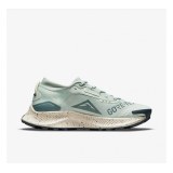 Кросівки для бігу Nike Pegasus Trail 3 Gore Tex DC8794-003_image_1