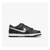 Дитячі кросівки Nike Dunk Low Gs DC9560-001_image_1