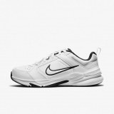 КРОССОВКИ NIKE DEFYALLDAY DM7564-100_image_2