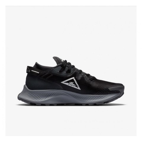 Жіночі кросівки Nike Pegasus Trail 2 Black CK4309-002_image_1