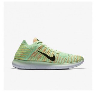 Жіночі кросівки Nike Free Run Flyknit 831070-301