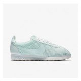 Кросівки Nike WMNS CLASSIC CORTEZ PREM 905614-301_image_1