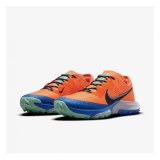 Мужские кроссовки Nike Air Zoom Terra Kiger CW6062-800_image_3