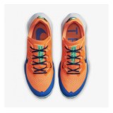Мужские кроссовки Nike Air Zoom Terra Kiger CW6062-800_image_5