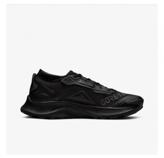 Кросівки для бігу Nike Pegasus Trail 3 GTX DC8793-001