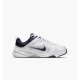 Кроссовки Nike Defy All Day White DM7564-101_image_1