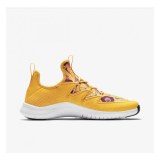Кросівки WMNS NIKE FREE TR ULTRA AMP AT3317-700_image_1
