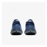 КРОССОВКИ NIKE PEGASUS TRAIL 2 GTX CU2016-400_image_3