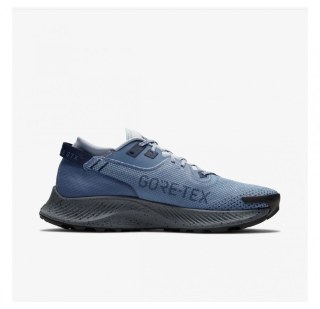 Кросівки NIKE PEGASUS TRAIL 2 GTX CU2016-400