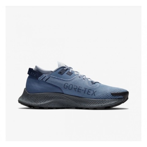 КРОССОВКИ NIKE PEGASUS TRAIL 2 GTX CU2016-400_image_1